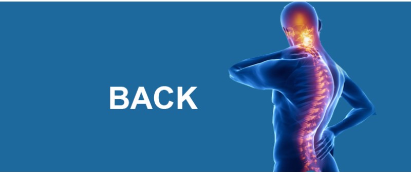 Back & Spine Back & Spine